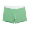 4.5" Trunks - TENCEL™ Modal Absinthe Green -Swim Lounge Outfit Absinthe Green 4.5 Trunks 1