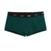 Boy Shorts - Botanical Green