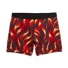 6" No Fly Boxer Briefs - Heck Raiser -Swim Lounge Outfit Heck Raiser 6in No Fly Boxer 1
