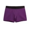 4.5" Trunks LC - Imperial Purple -Swim Lounge Outfit Imperial Purple 4.5 1