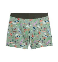 6" No Fly Boxer Briefs - Lake Life