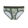 Iconic Briefs - Lake Life -Swim Lounge Outfit Lake Life Iconic Brief 1