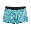 4.5" Trunks - Totally Buggin' 1 4.5" Trunks - Totally Buggin' -Swim Lounge Outfit Totally Buggin 4in