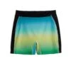Swim 4.5" Shorts - Under The Surface 1 Swim 4.5" Shorts - Under The Surface -Swim Lounge Outfit Under The Surface Swim 4.5in Short 1